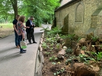 The new fern border at Boston cemetery